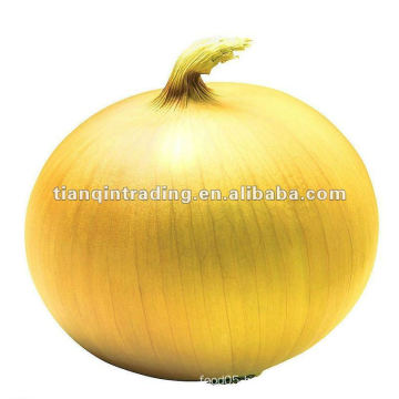 2012 Yellow onion